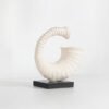 Wabi-Sabi Seashell Decorative Ornaments Living Room & Guesthouse Soft Furnishings Home Entryway Decor Elegant Niche Accessories