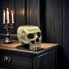 New Halloween Skull Flower Pot Ornament Creative Garden Skull Resin Craft Decorations Wholesale